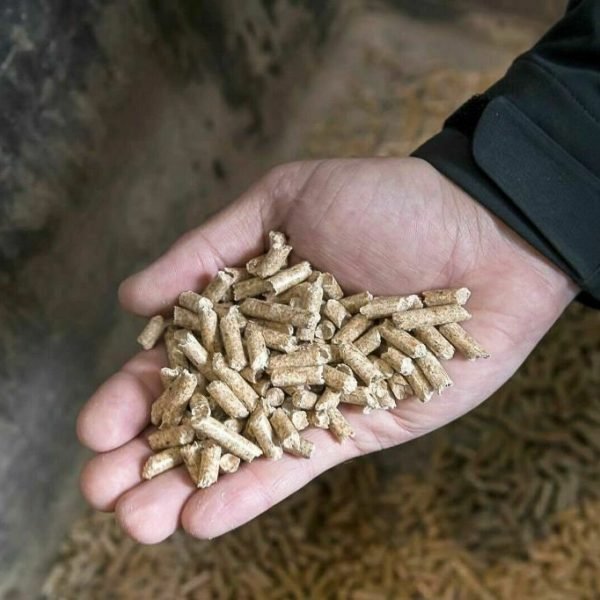 Pellets de Abeto y Haya Palé 70 Sacos - Imagen 2